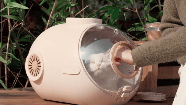 宠物产品摄影|宠叔叔  X  艾窝提篮猫包