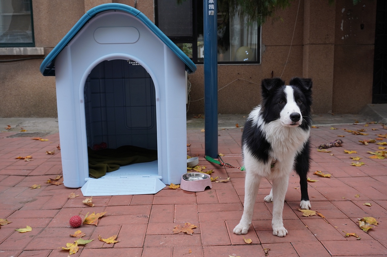 缓存的温柔（图ZMzIzMzA1OTQw） - 人文/纪实摄影 - 站酷设计师blink经纬原创素材 - 站酷ZCOOL