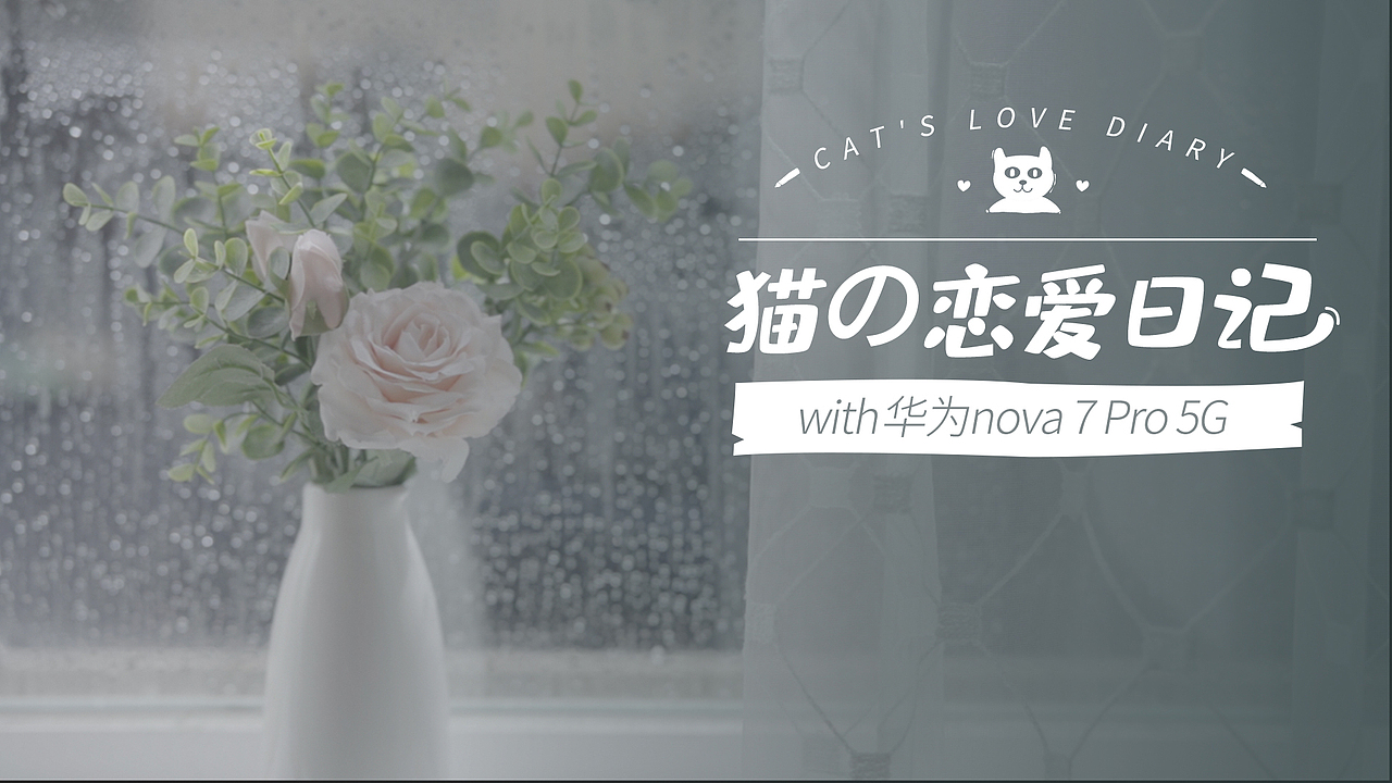 2年时间视频包装封面合集