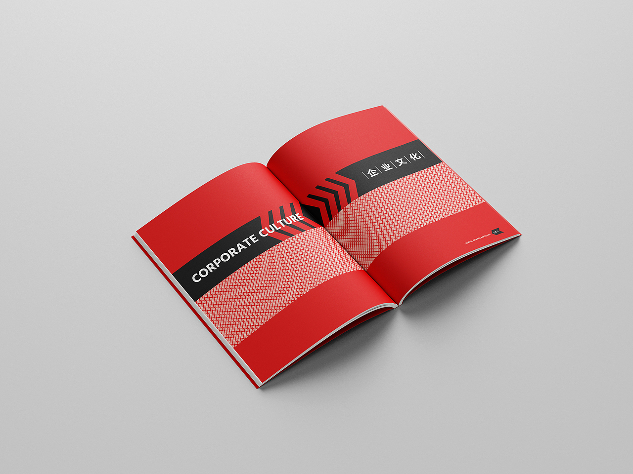 ©早目原创|画册设计_Dukan公司简介画册