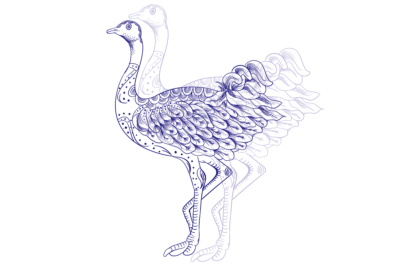 动物插画 版画装饰性插画鸭子插画天鹅插画鸵鸟大雁