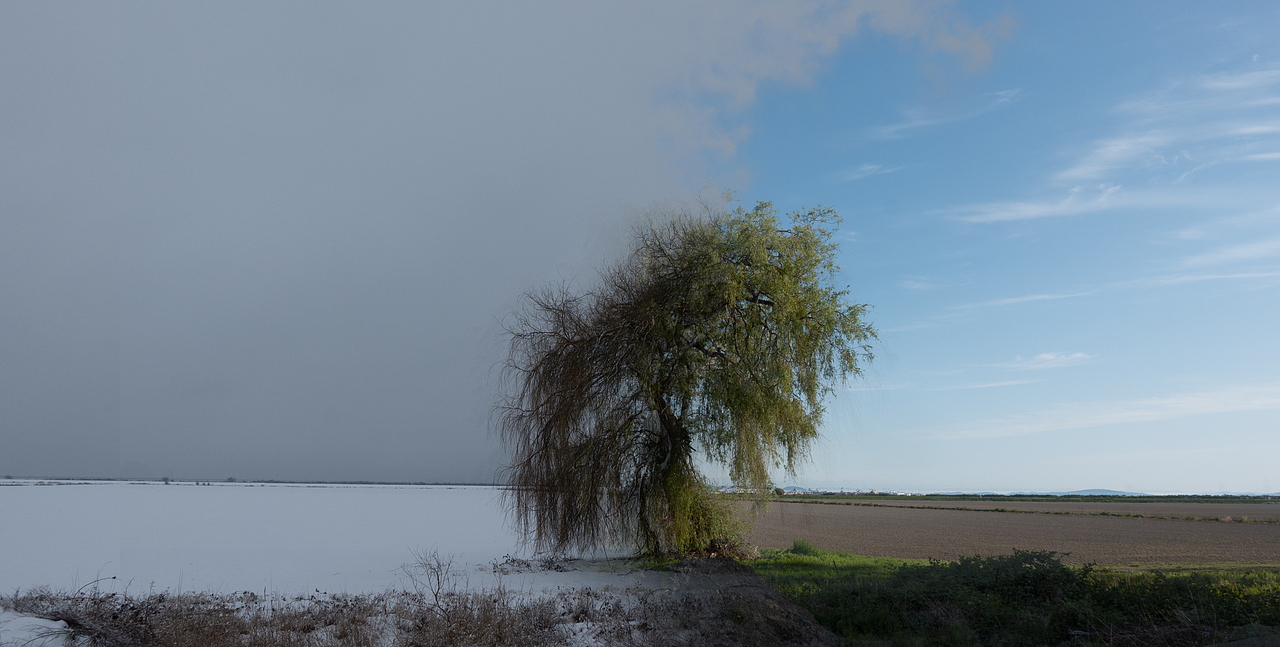 一生就是一场蒙太奇