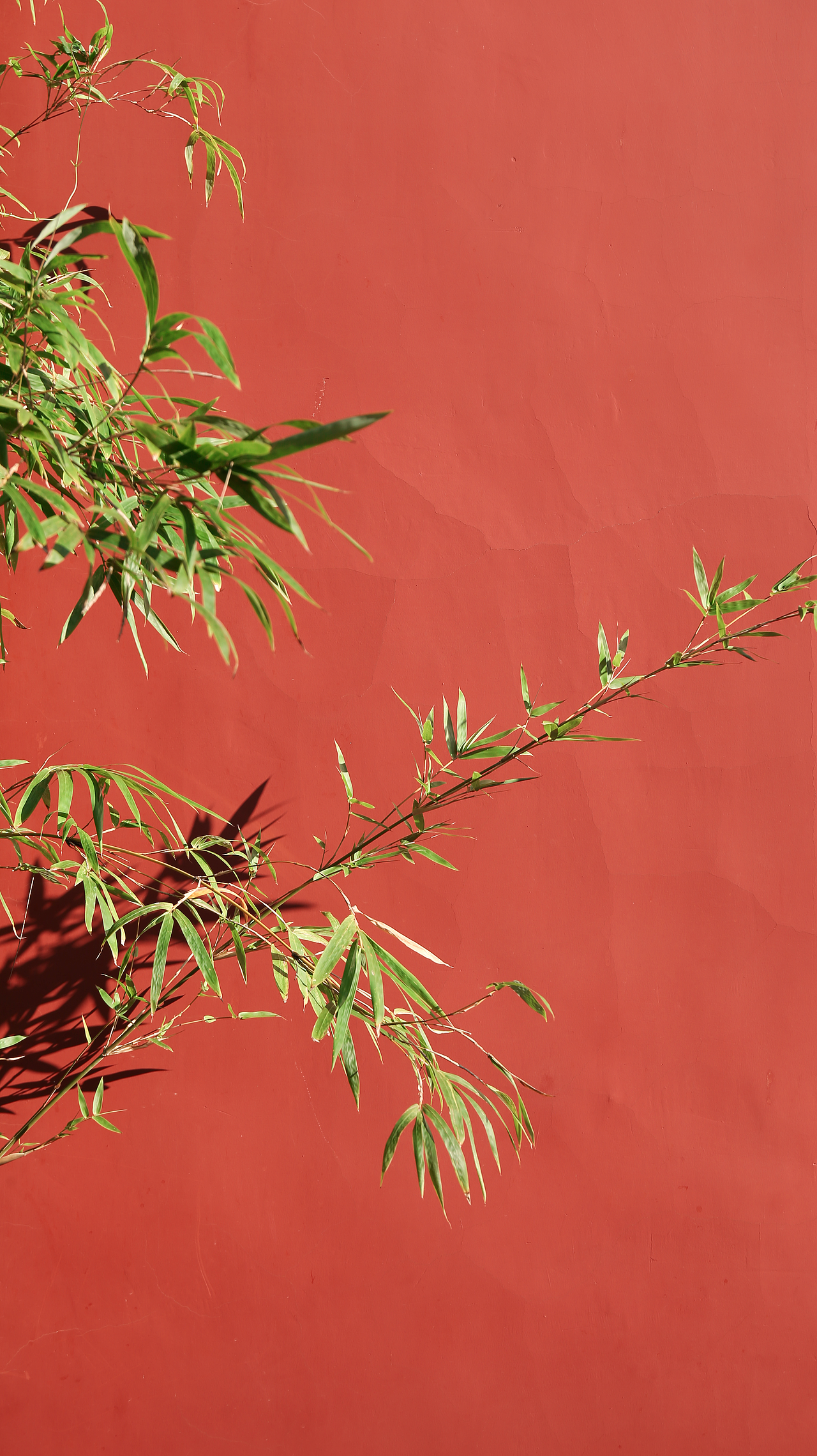 山寺清幽一缕青烟