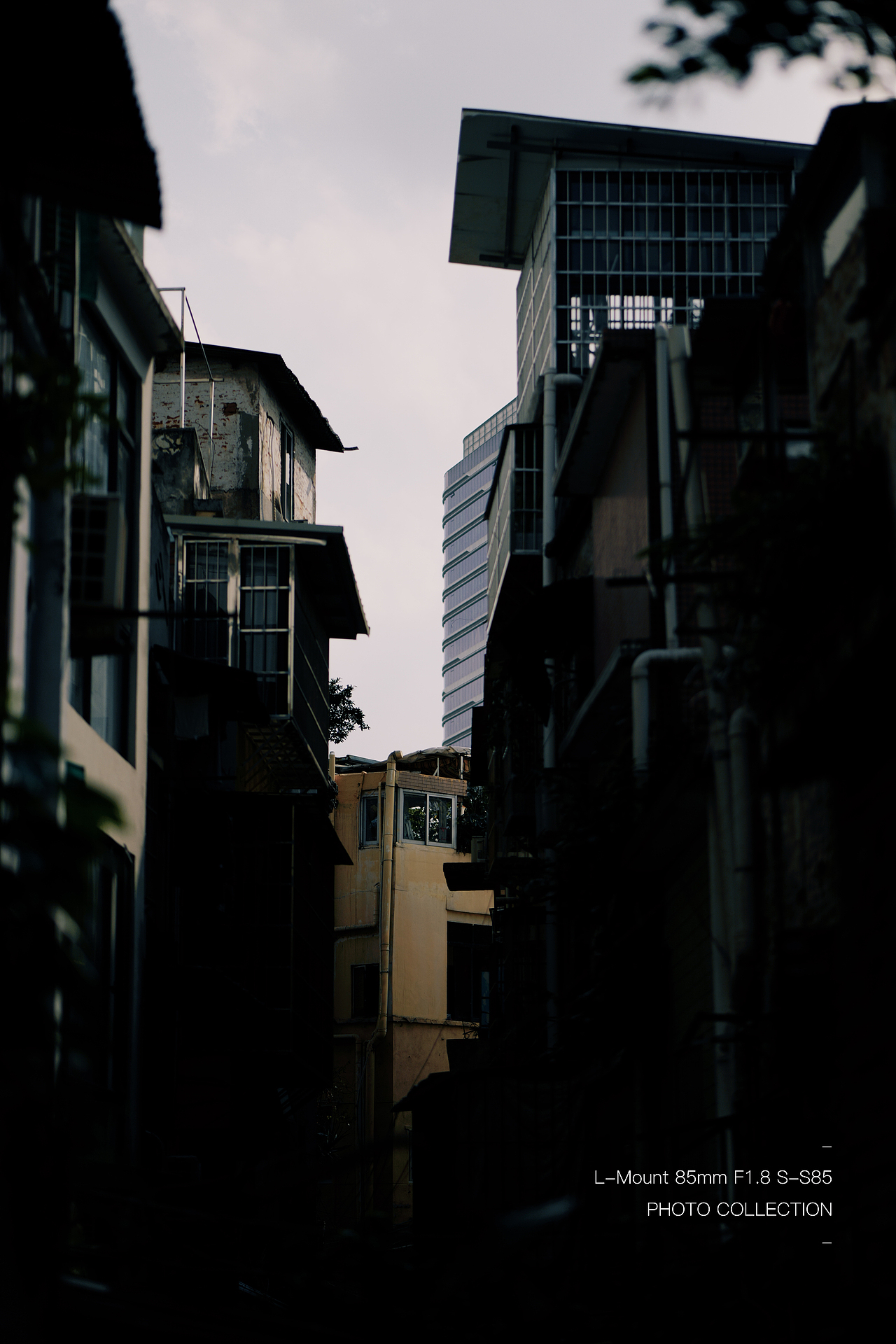 与灵魂共舞、与思想同行