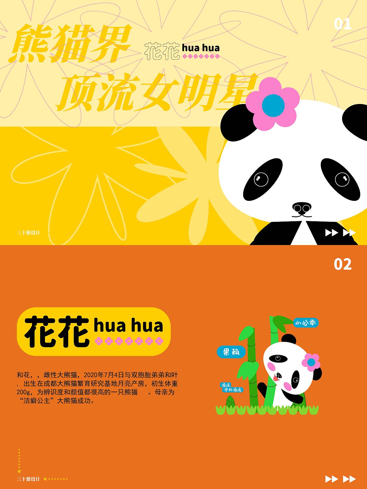 頂流花花的IP（圖ZMzM2OTAyOTAw） - 創(chuàng)作習(xí)作 - 站酷設(shè)計師三十冊原創(chuàng)素材 - 站酷ZCOOL