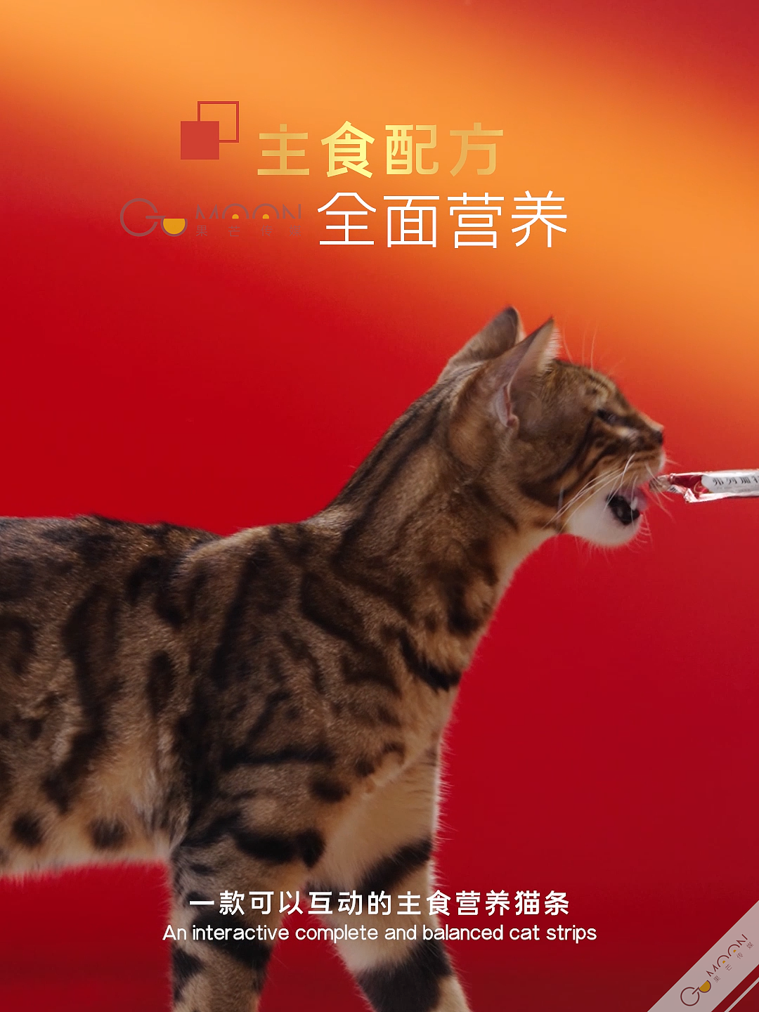 产品宣传 | 麦富迪弗列加特主食猫条电商宠物食品拍摄