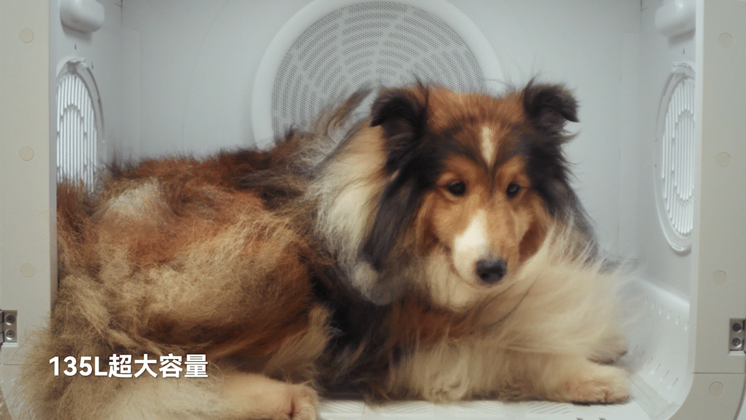 霍曼宠物智能烘干箱Ultra（图ZMzQzOTk1MzU2） - 产品摄影 - 站酷设计师功夫传媒原创素材 - 站酷ZCOOL