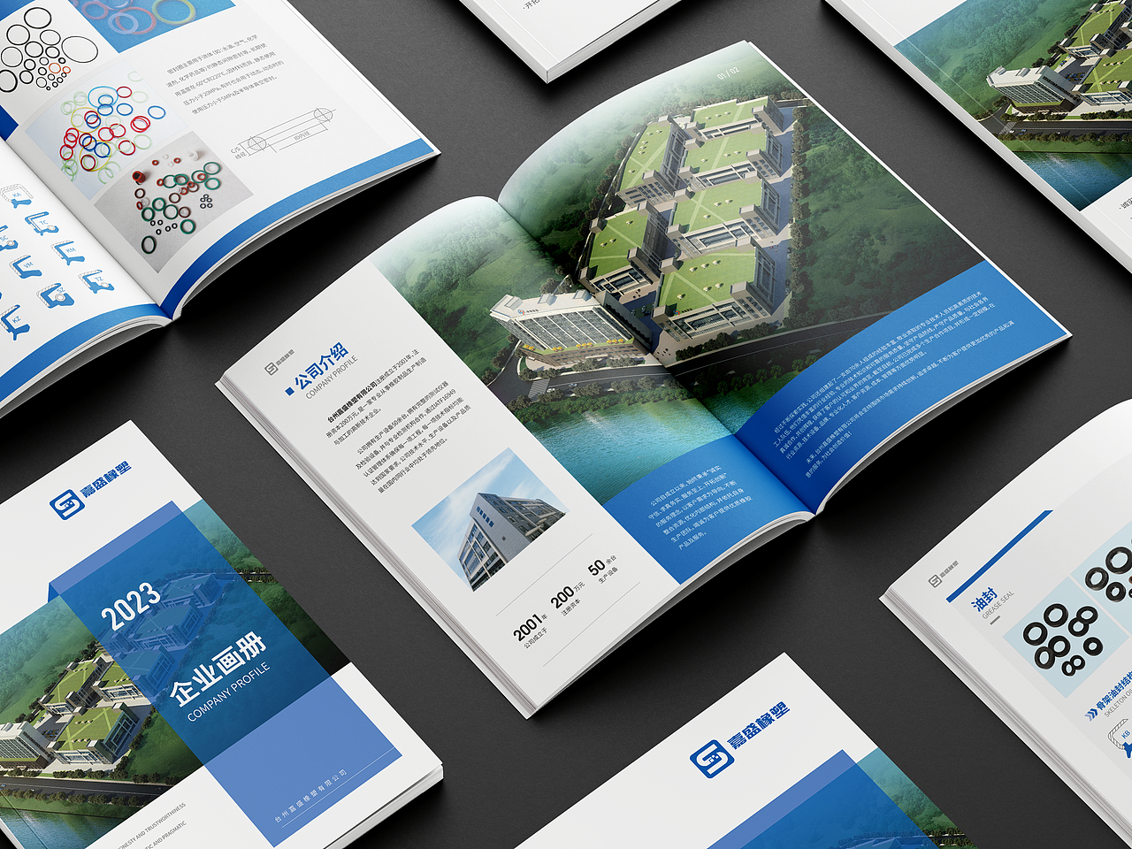 油封画册|橡胶行业画册 产品手册