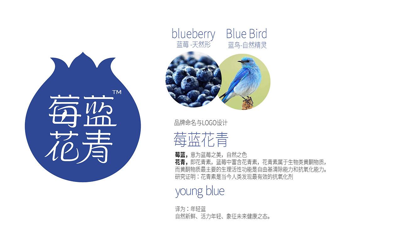 蓝莓品牌与包装整体设计 莓蓝花青（图ZMzI5NTI2ODE2） - 包装 - 站酷设计师黑米品牌设计原创素材 - 站酷ZCOOL