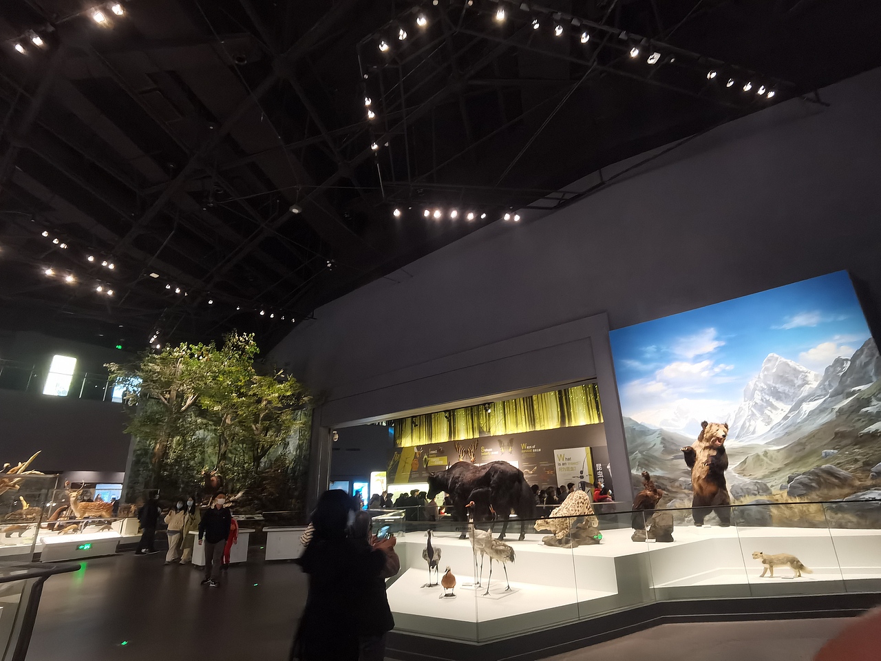 成都自然博物馆（图ZMzI0NTI3ODQw） - 展陈设计 - 站酷设计师聚光灯下锦衣夜行原创素材 - 站酷ZCOOL