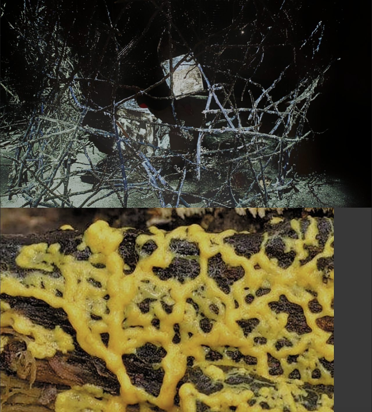 #2023 青春答卷#《IF YOU ASK ME》