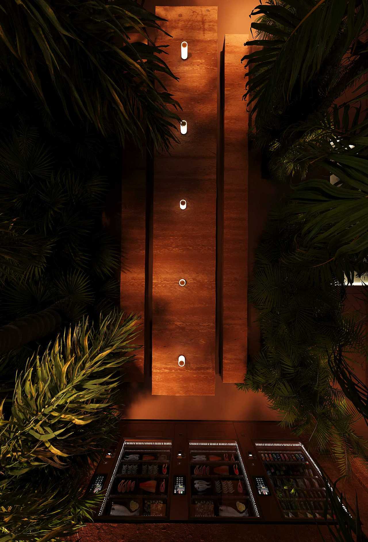 藏身在雨林的餐廳