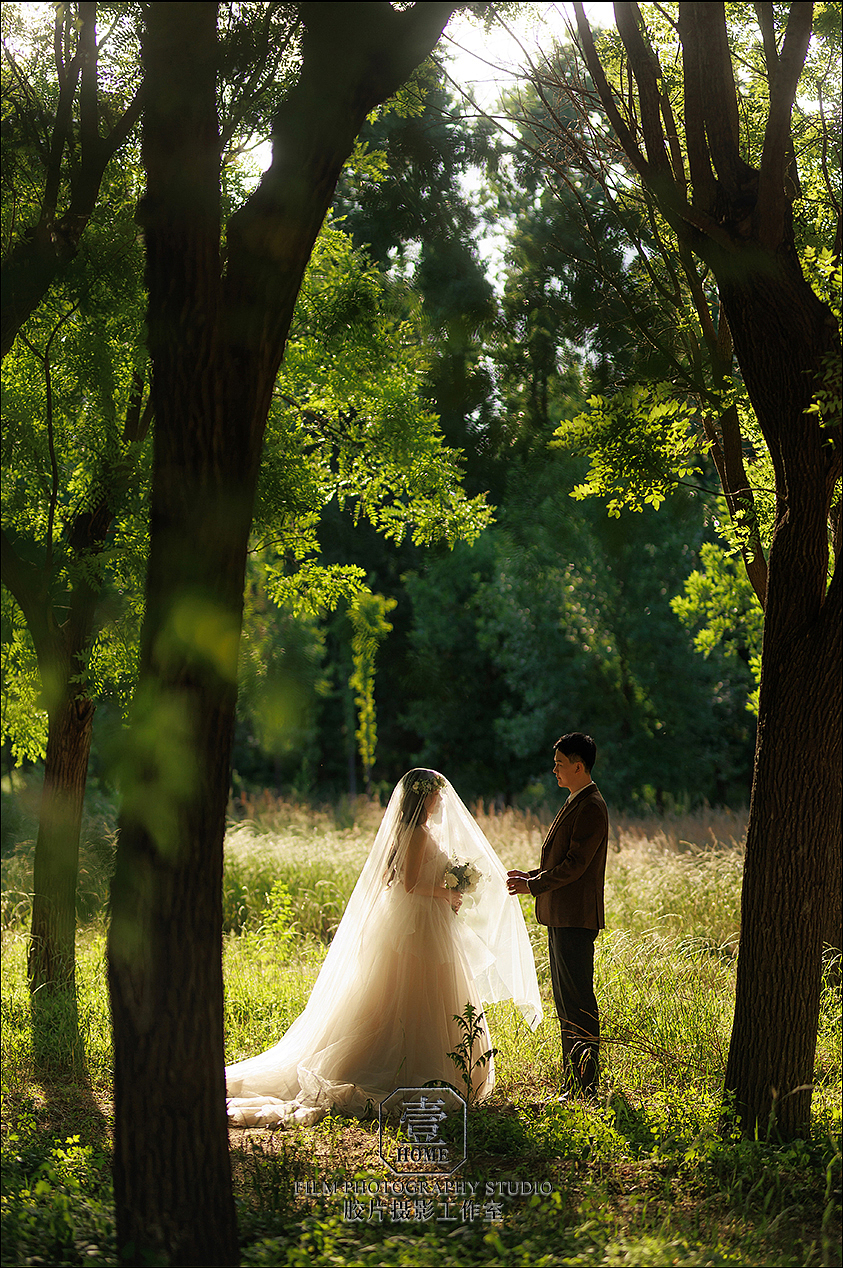 在北京温榆河拍的婚纱照,出片了!