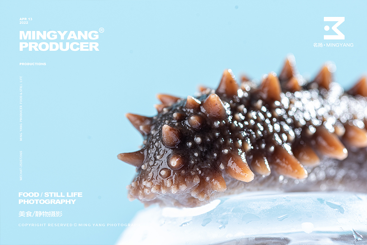 海参（图ZMzA2ODY0NDk2） - 美食摄影 - 站酷设计师摄影师董名扬原创素材 - 站酷ZCOOL