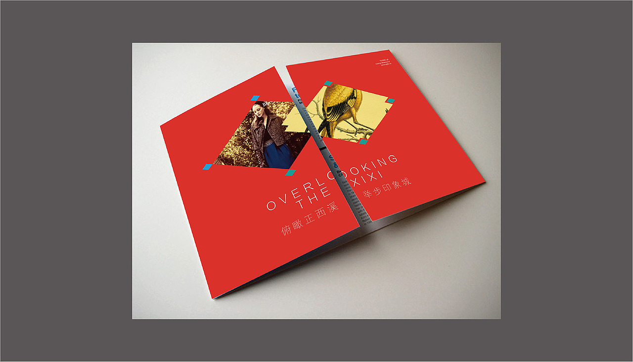 轻奢地产视觉提报