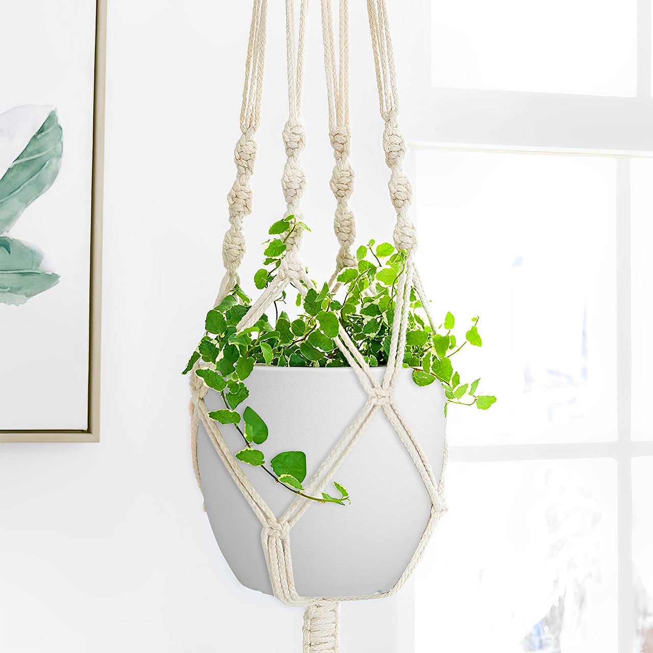 亚马逊白色花盆精修设计摄影（图ZMzU0NjY4Mjc2） - 电商 - 站酷设计师橙子酱酱原创素材 - 站酷ZCOOL