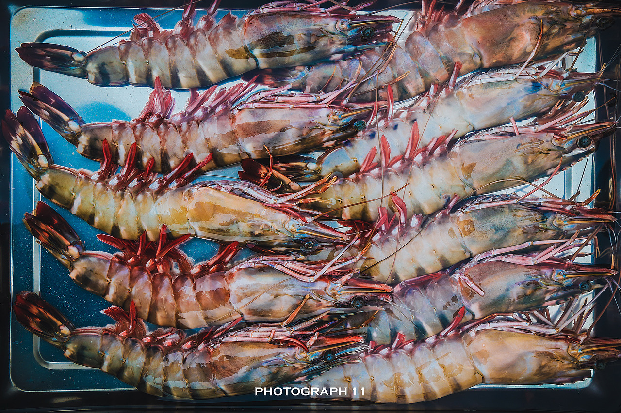 渔港（图ZMzIzNjk2NTAw） - 风光摄影 - 站酷设计师11ELEVEN原创素材 - 站酷ZCOOL