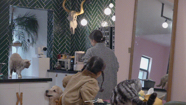 《爸爸当家》第二季 节目包装（图ZMzQ4NjM2NTg0） - 影视后期 - 站酷设计师小飞侠文化原创素材 - 站酷ZCOOL