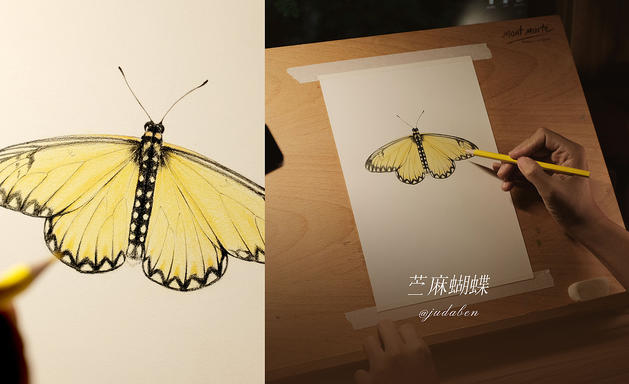 手繪的蝴蝶們（圖ZMzQ2NTYwMTI0） - 繪畫(huà) - 站酷設(shè)計(jì)師橘大本原創(chuàng)素材 - 站酷ZCOOL