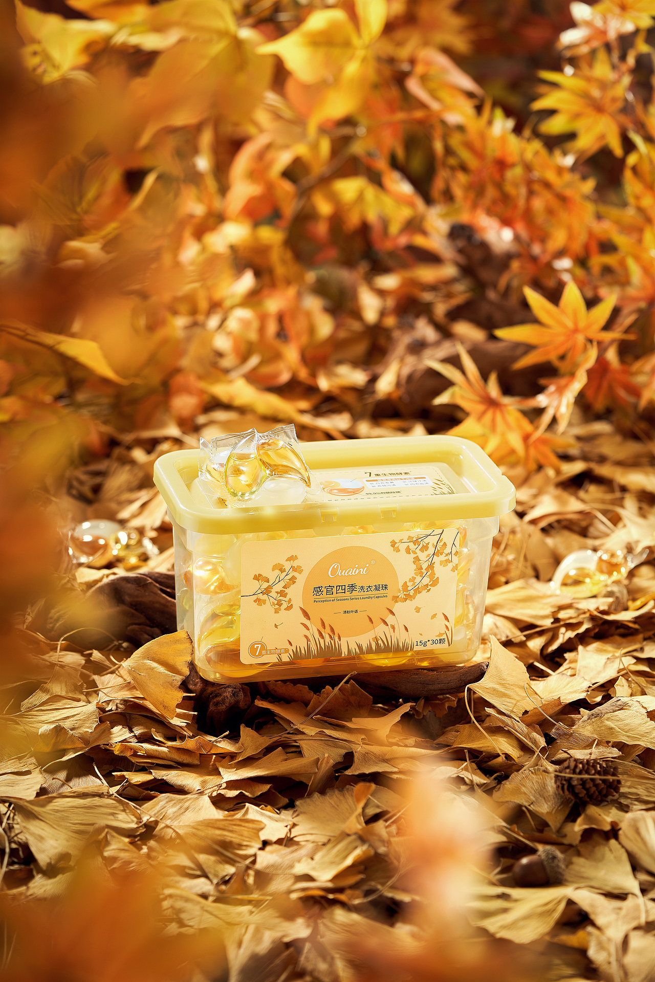 落叶-秋（图ZMzI0OTU2ODA0） - 产品摄影 - 站酷设计师天之韵摄影原创素材 - 站酷ZCOOL