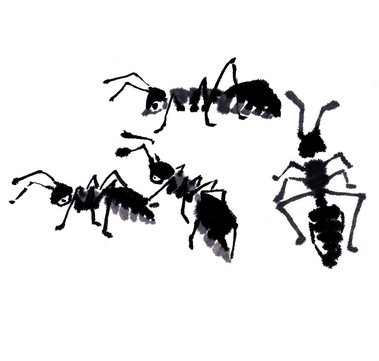 ​萌趣水墨画 蝉和蚂蚁（带水墨画绘制过程）（图ZMzY0ODgzMTA0） - 绘画 - 站酷设计师画儿晴天原创素材 - 站酷ZCOOL