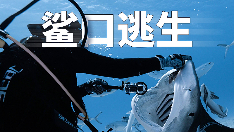 Insta360 : 【视频汉、日化】Thinkbold挑战Zimydakid