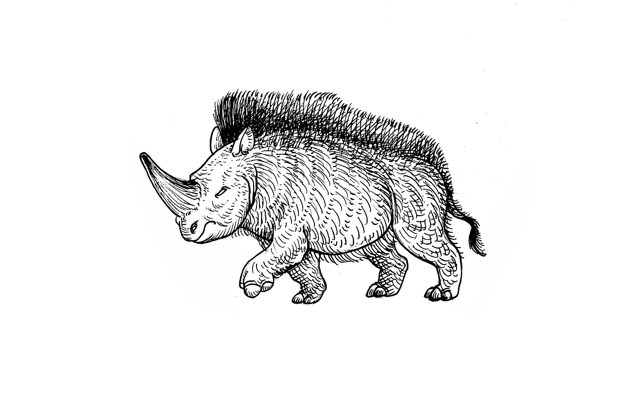 山海经里的自然世界——动物1