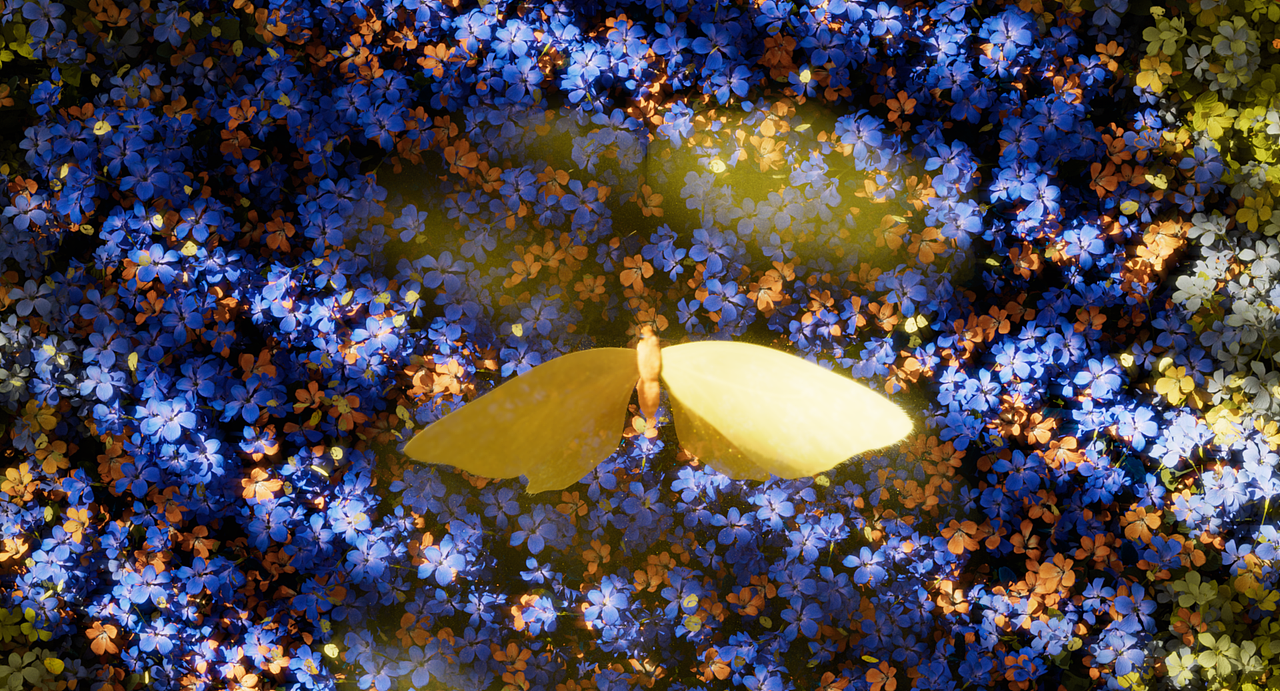 蝴蝶_Butterfly（图ZMzY2MTA3NzY4） - 人物/生物 - 站酷设计师miopass原创素材 - 站酷ZCOOL