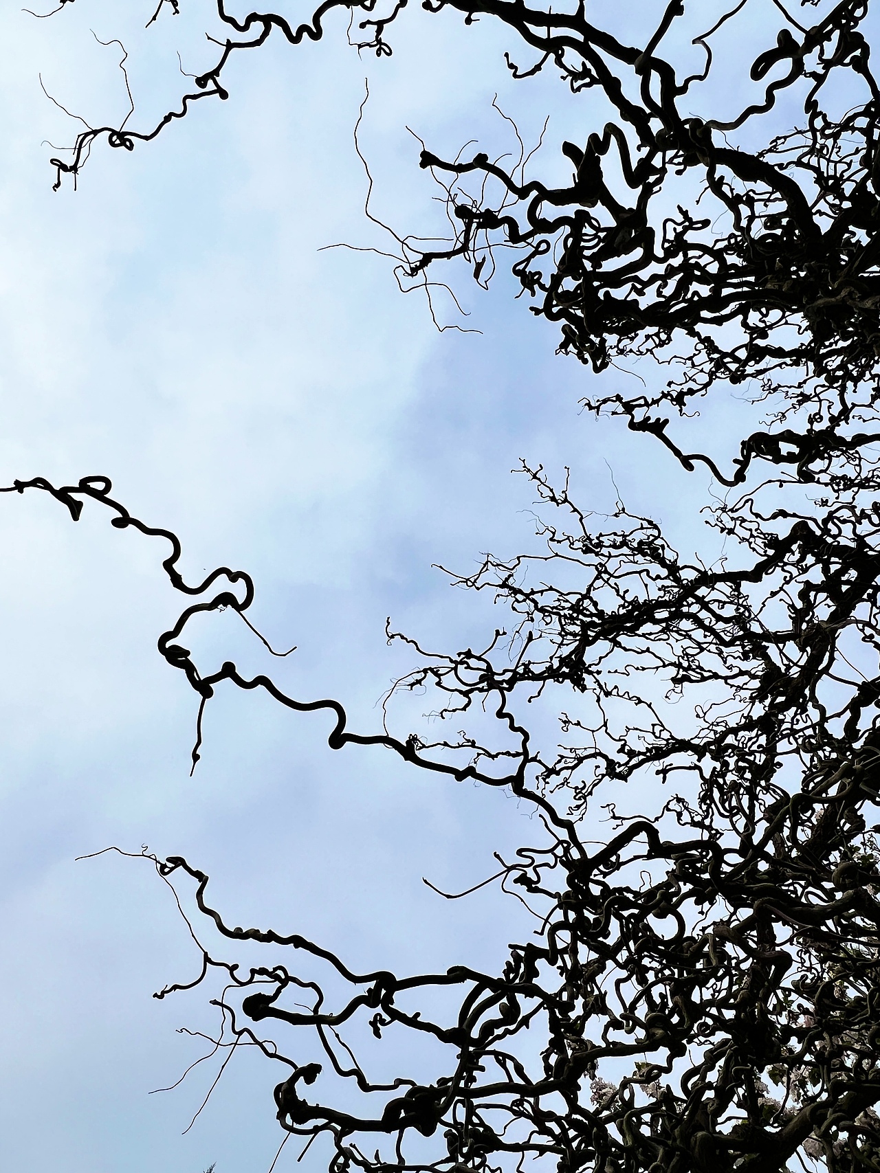 雕塑，隨拍。（圖ZMzUyOTU5ODMy） - 人文/紀實攝影 - 站酷設(shè)計師章魚灰原創(chuàng)素材 - 站酷ZCOOL