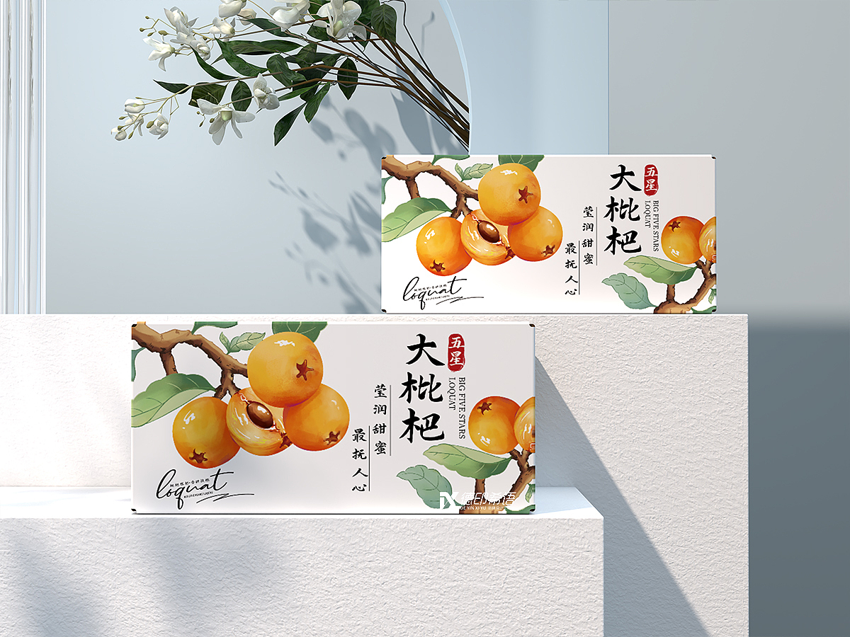 枇杷|五星枇杷|枇杷手绘包装|包装设计|水果包装设计