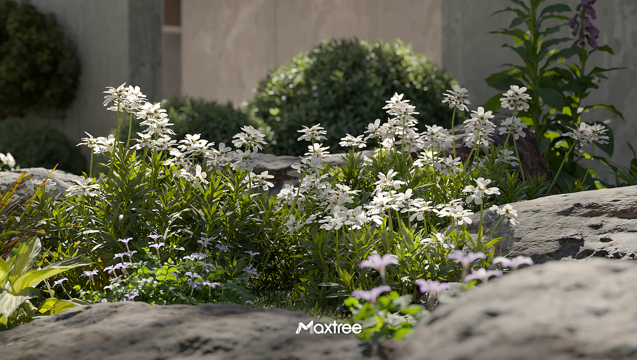 Maxtree | 落地花园（图ZMzI3MTkwNDI0） - 场景 - 站酷设计师里灯原创素材 - 站酷ZCOOL