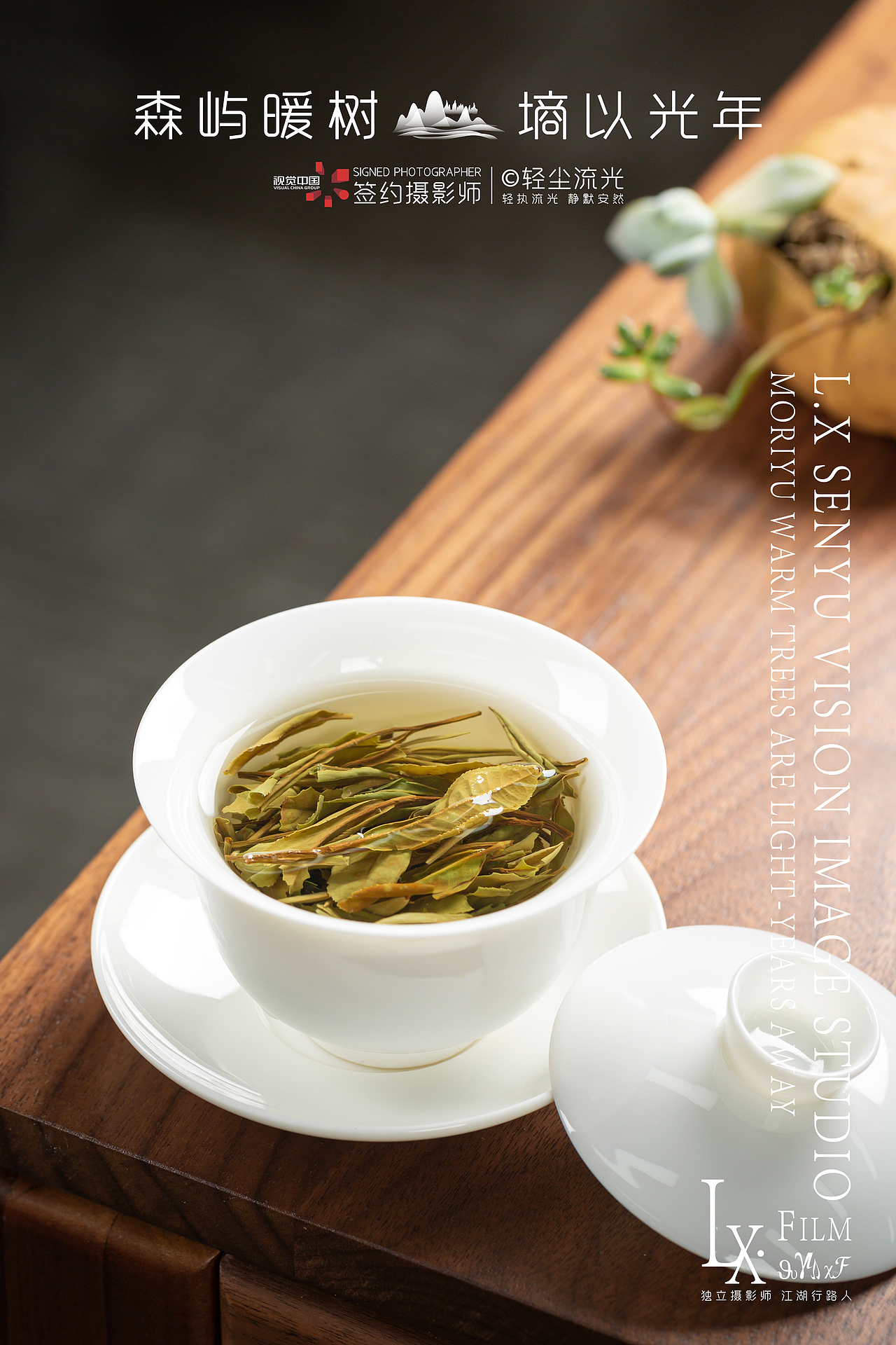 2016年二级白牡丹商业摄影