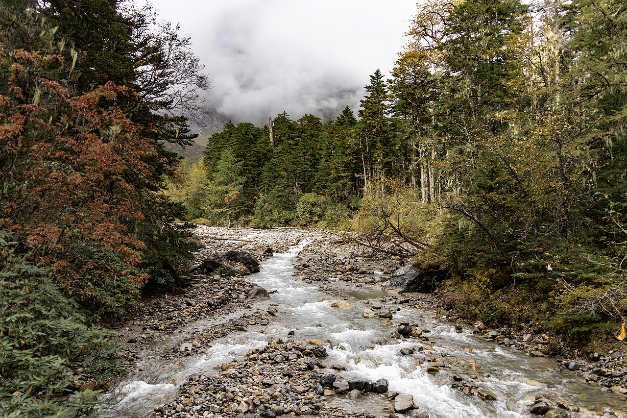 重返香格里拉2022