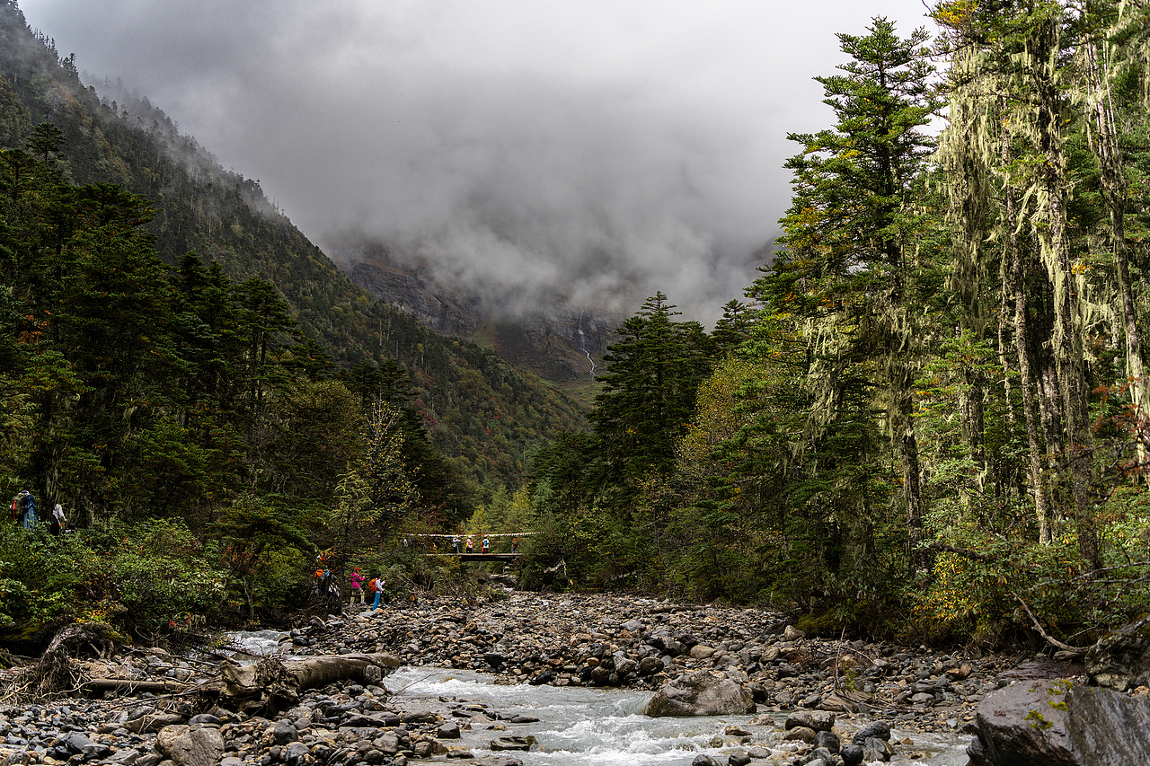 山顶雾气浓重 如诗如画