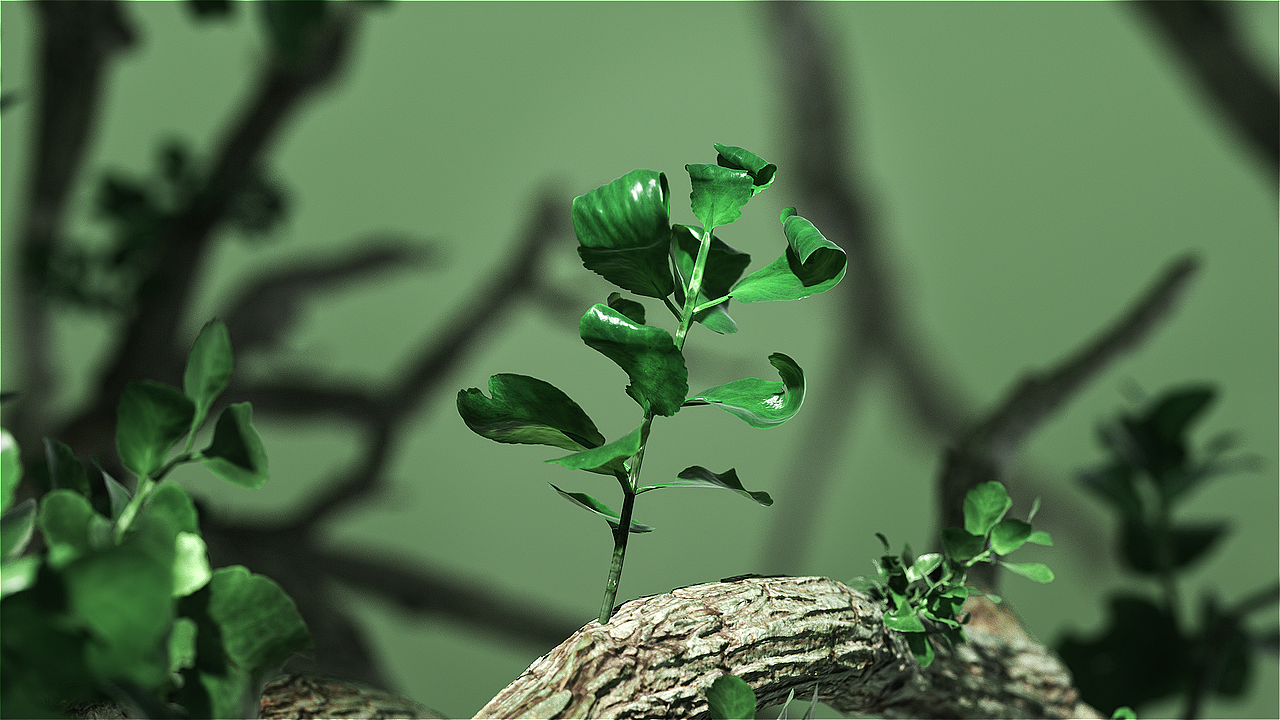 聲卡動(dòng)畫(huà)（圖ZMzY0ODQzNjg0） - 產(chǎn)品 - 站酷設(shè)計(jì)師Z51882456原創(chuàng)素材 - 站酷ZCOOL