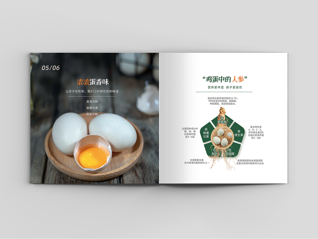 品牌画册 食品画册 企业画册 招商画册 鸡 鸡蛋画册