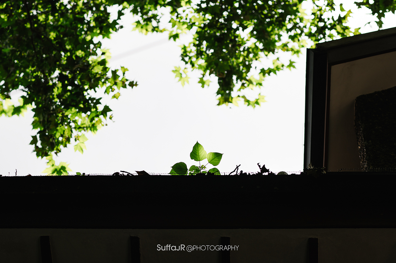 上海街头20230802