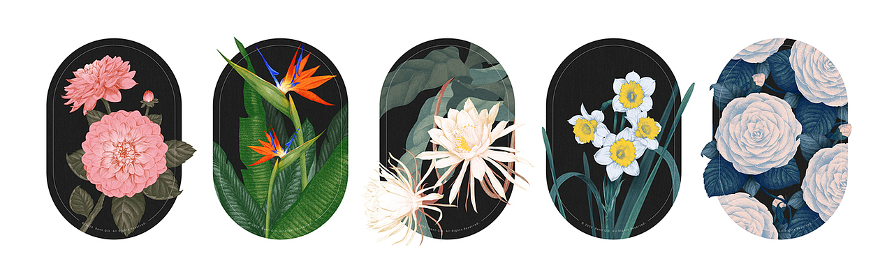 化妆品包装花卉插画系列