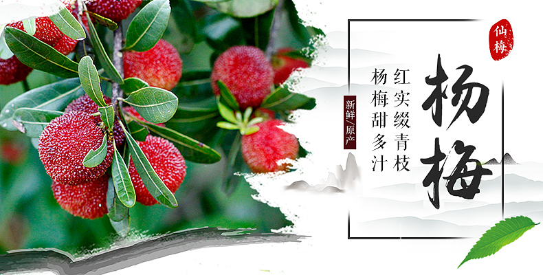 仙居杨梅电商详情页（图ZMzQ1MjMzNDQw） - 其他平面 - 站酷设计师兜兜里有榴莲原创素材 - 站酷ZCOOL