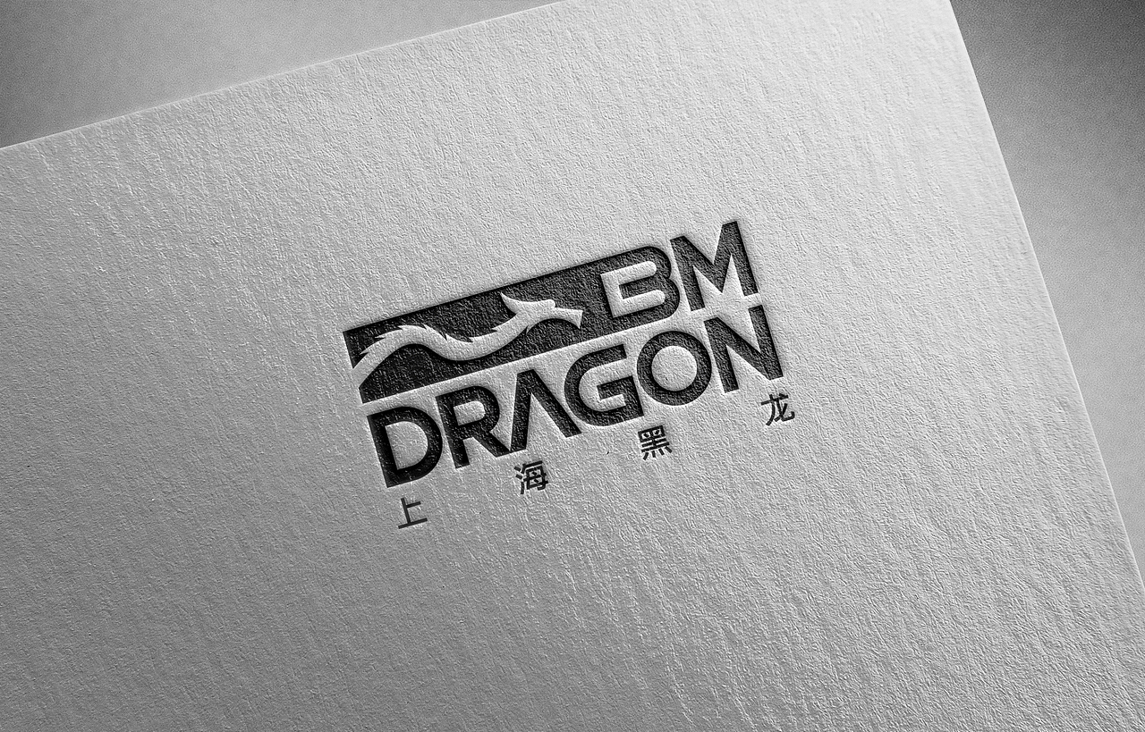Black Mountain Dragon - Import and export company（图ZMzE5MDkyMjM2） - Logo - 站酷设计师rauli_design原创素材 - 站酷ZCOOL