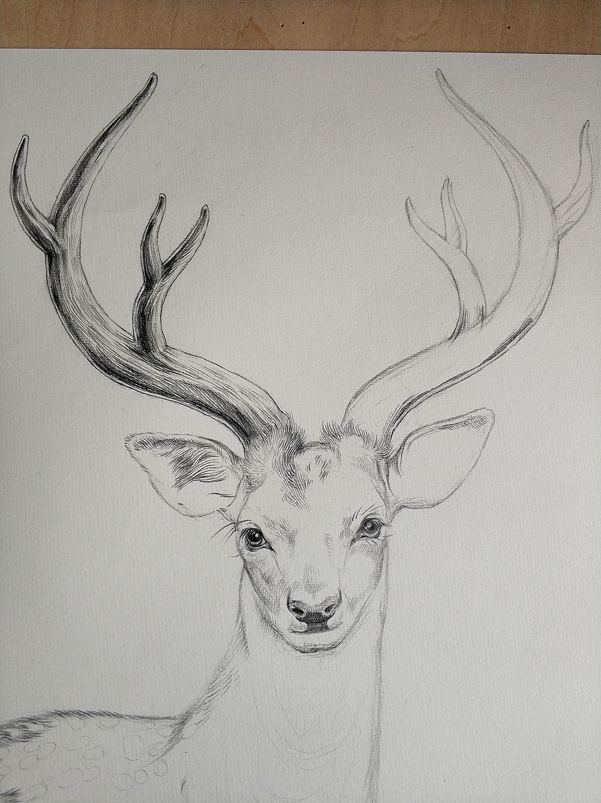 为“宫廷文化”绘制的素描过程