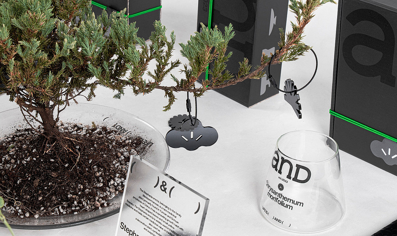 anD 和 | 2023毕业设计