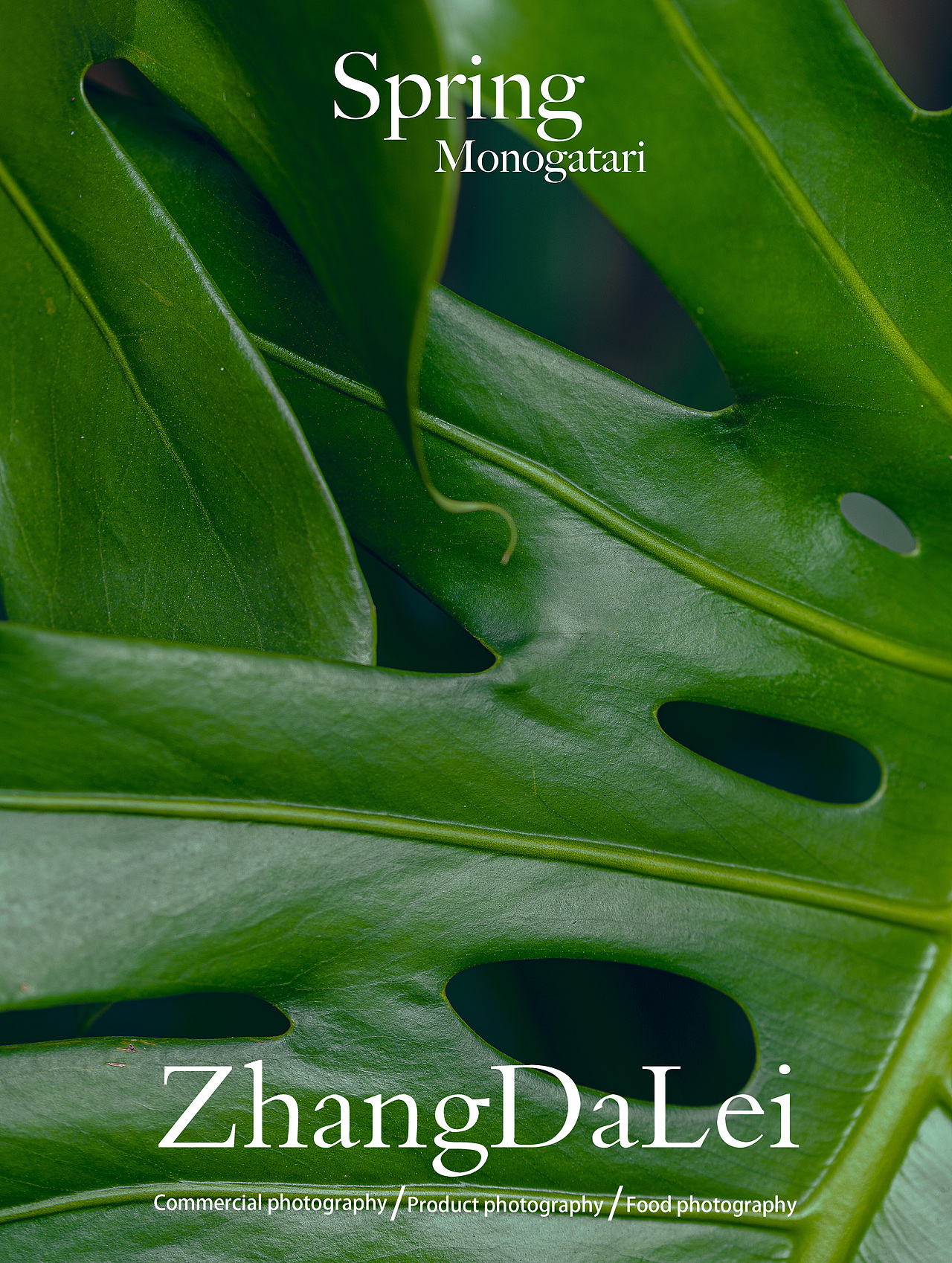 春天物语（图ZMzY2MzgwOTc2） - 其他摄影 - 站酷设计师子菲门视觉原创素材 - 站酷ZCOOL