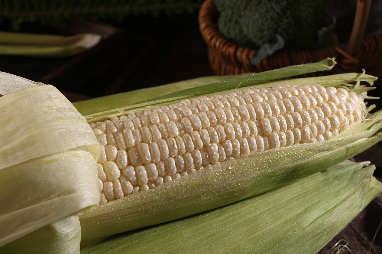 水果玉米（图ZMzI5NzIzNjY0） - 美食摄影 - 站酷设计师Z47802525原创素材 - 站酷ZCOOL