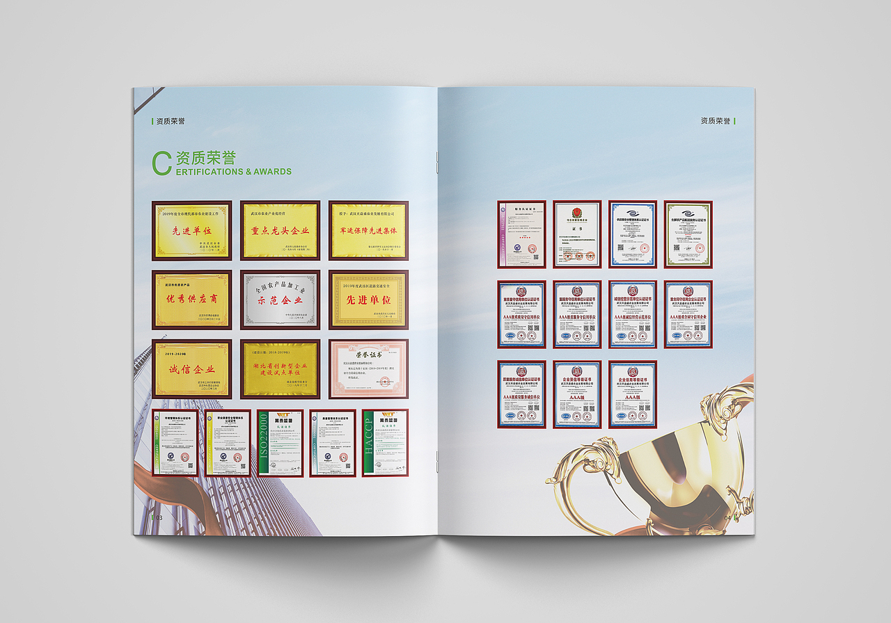 画册设计 农业画册 农产品画册 蔬菜画册（图ZMzE0MjkyMTg0） - 书籍/画册 - 站酷设计师朱艳红原创素材 - 站酷ZCOOL