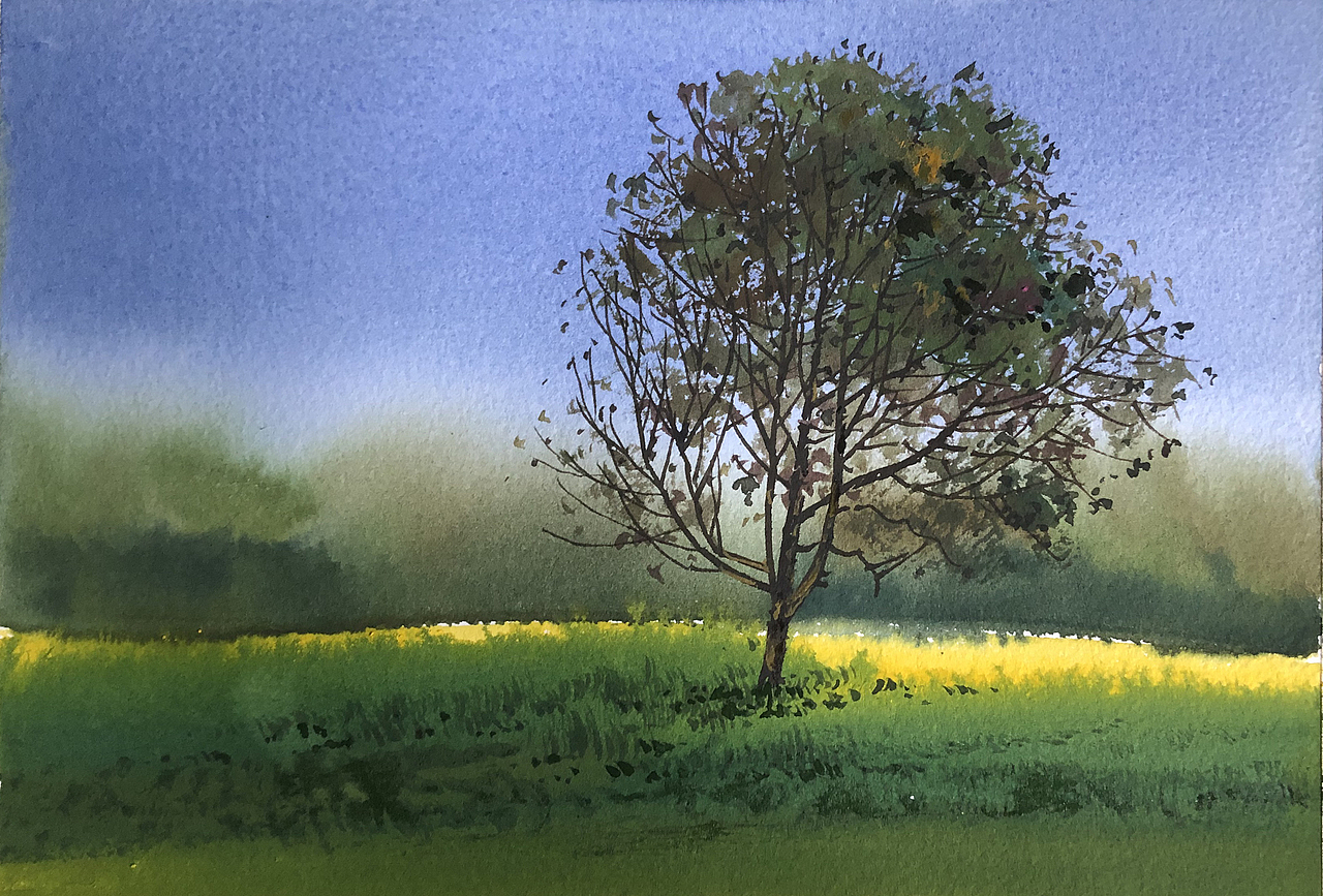 水彩风景——夏树生非花(2022 夏日里的树先生们)