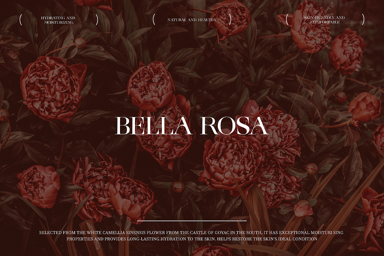 【BELLA ROSE】山茶花润泽修护精华油包装设计