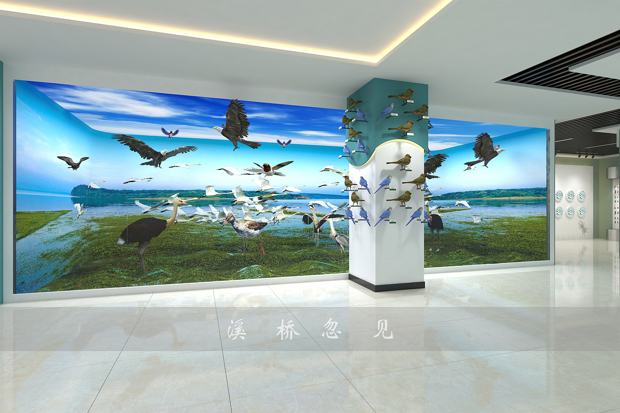 某动植物馆局部