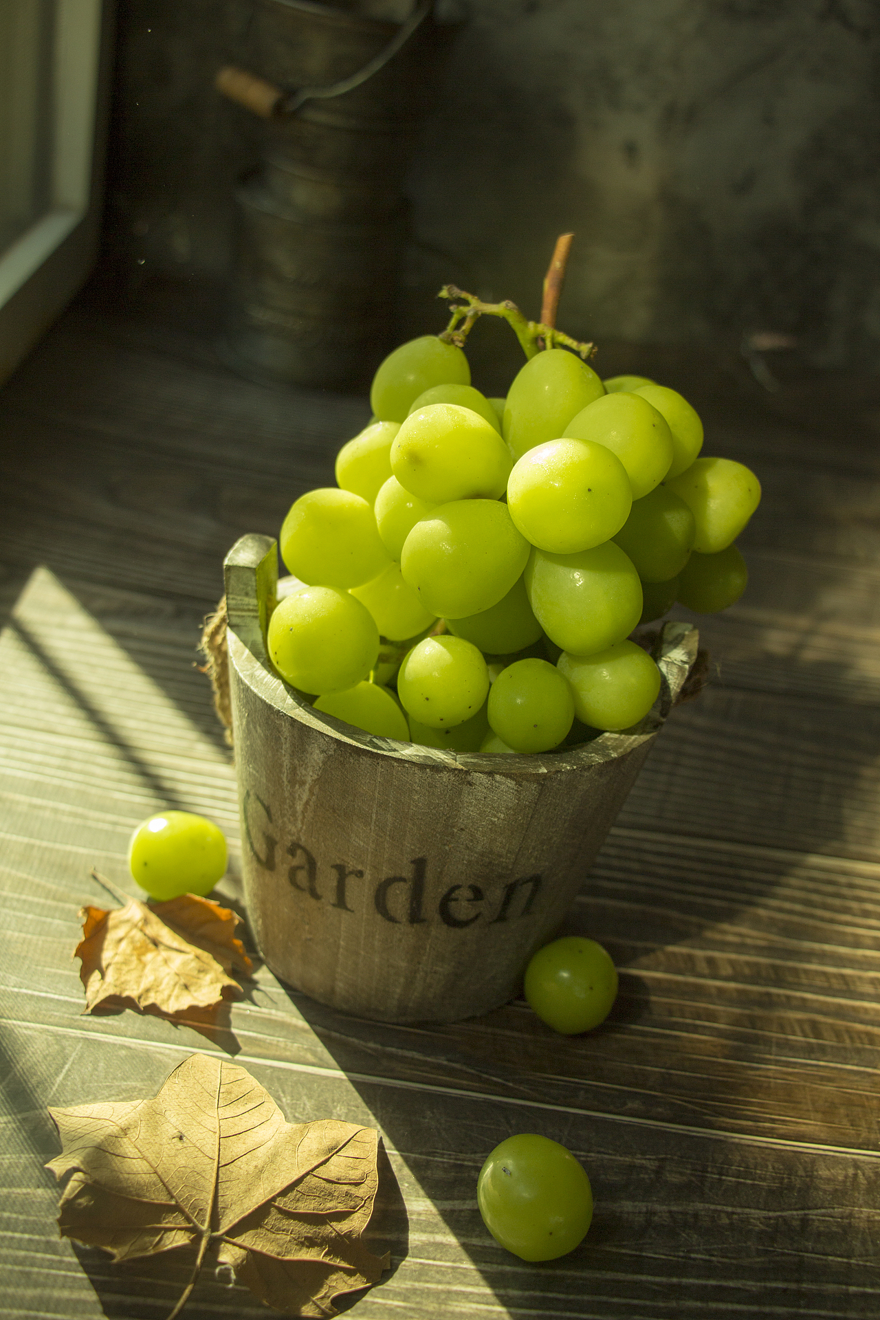 一串葡萄，真的，看的，不是用来吃的（图ZMzIwMDYyNDky） - 产品摄影 - 站酷设计师FirstRaysDesign原创素材 - 站酷ZCOOL