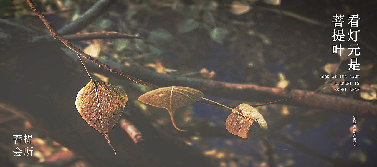 【菩提会所】品牌设计(菜单/易拉宝设计)